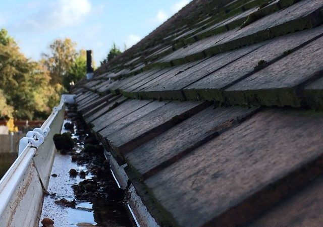 Best Gutter Protector