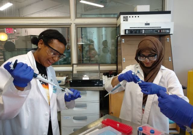 Importance Of Medical Biotechnology