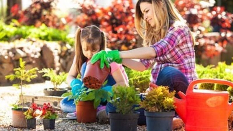Gardening with Children