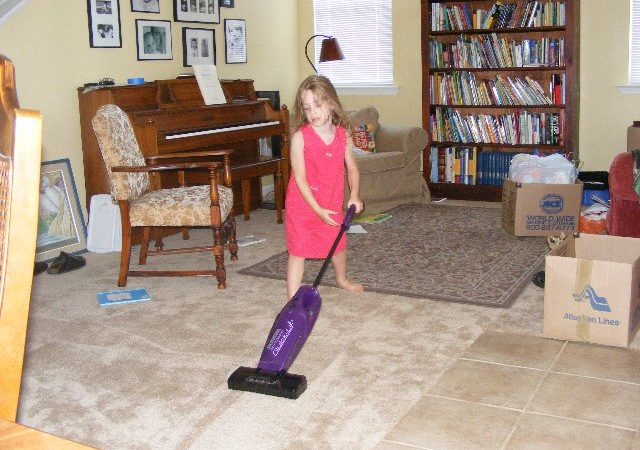 Hire a Carpet Cleaning Service