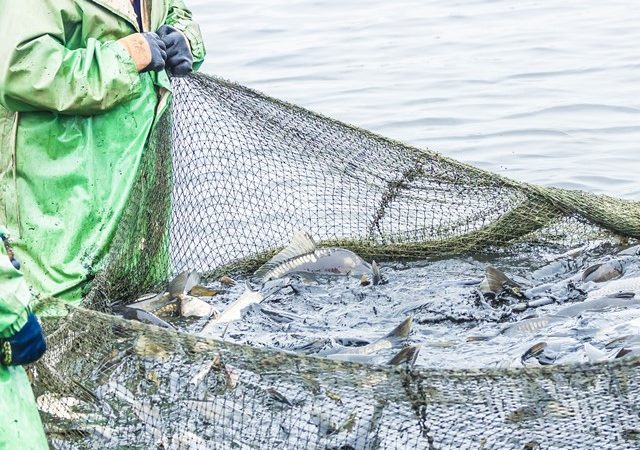 Fishing in the Florida Keys